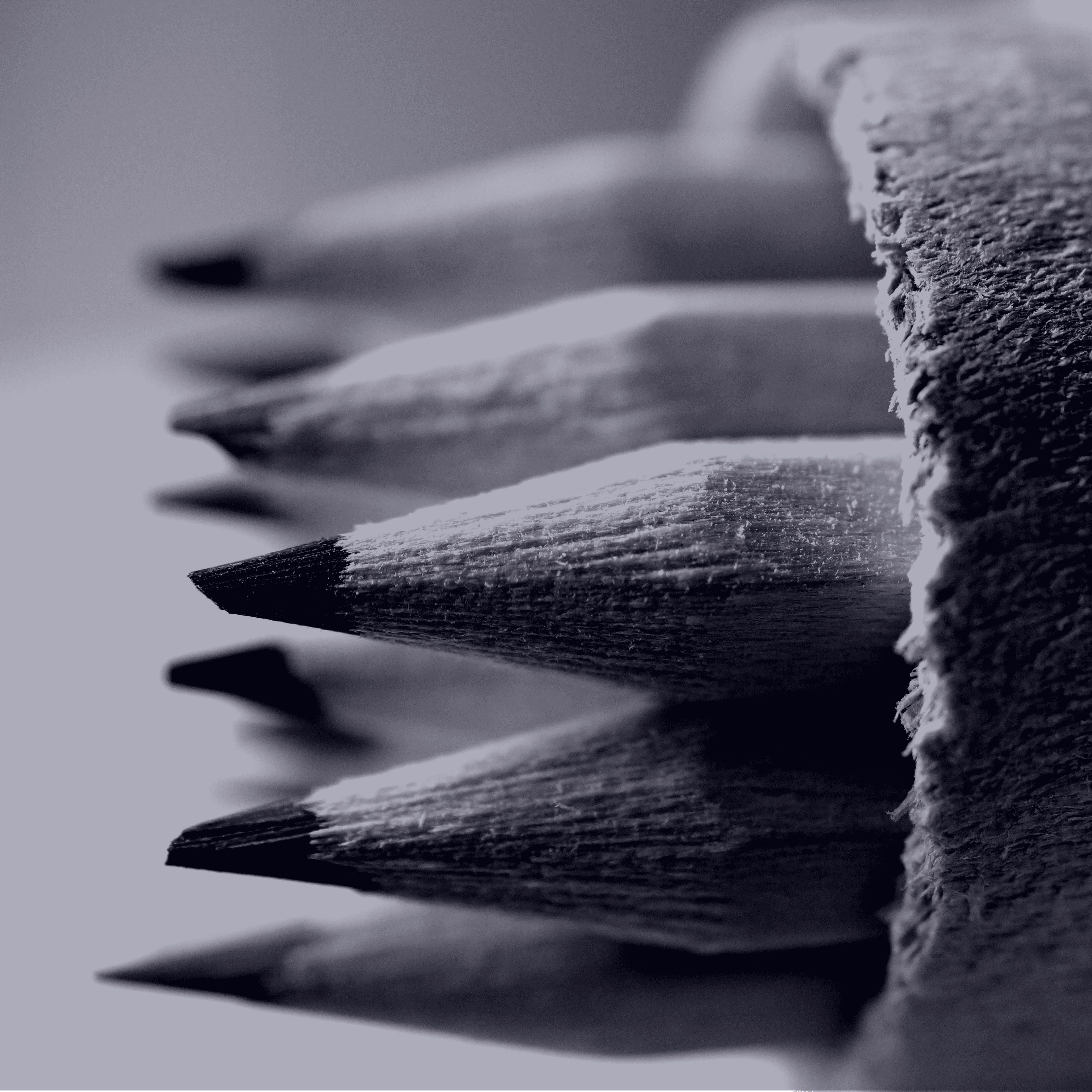 A close-up of drawing pencils